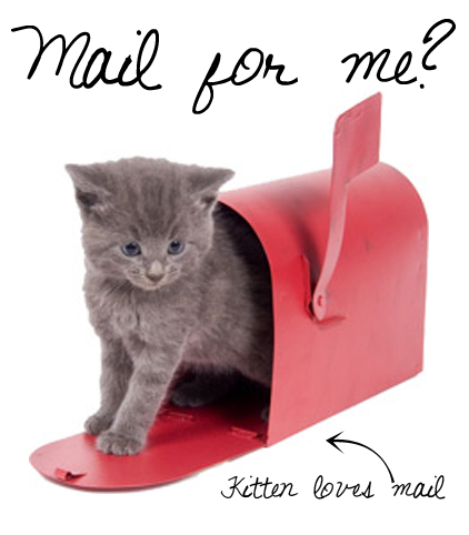 kitten and mailbox