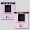 Catholic Social Justice Study Correspondence Course
